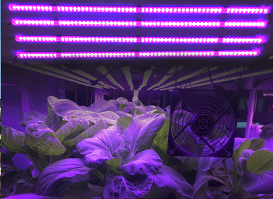 貨架式植物生長(zhǎng)燈