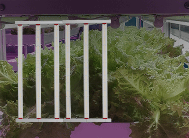 植物生長(zhǎng)燈CHDM01300