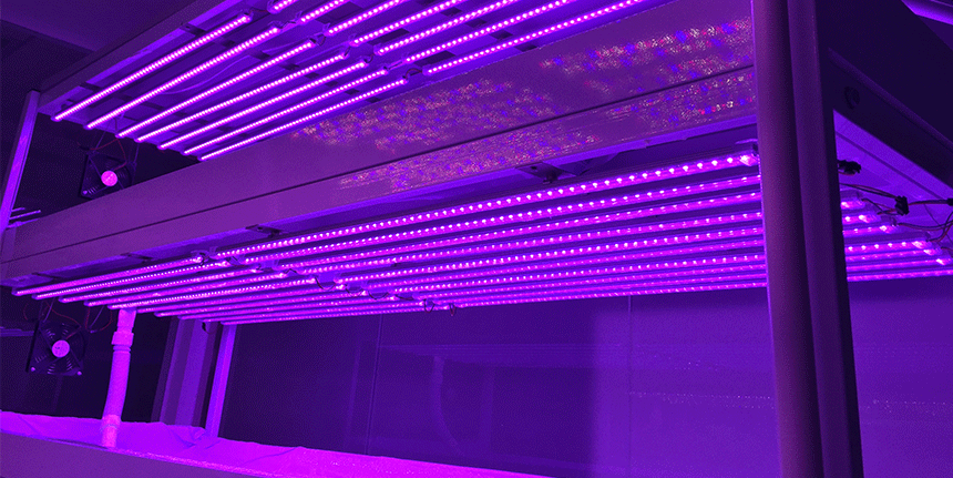 LED植物燈