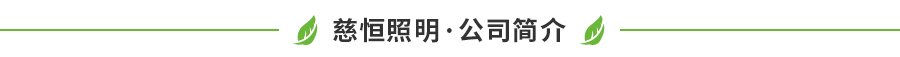 佛山市南海區(qū)慈恒照明有限公司