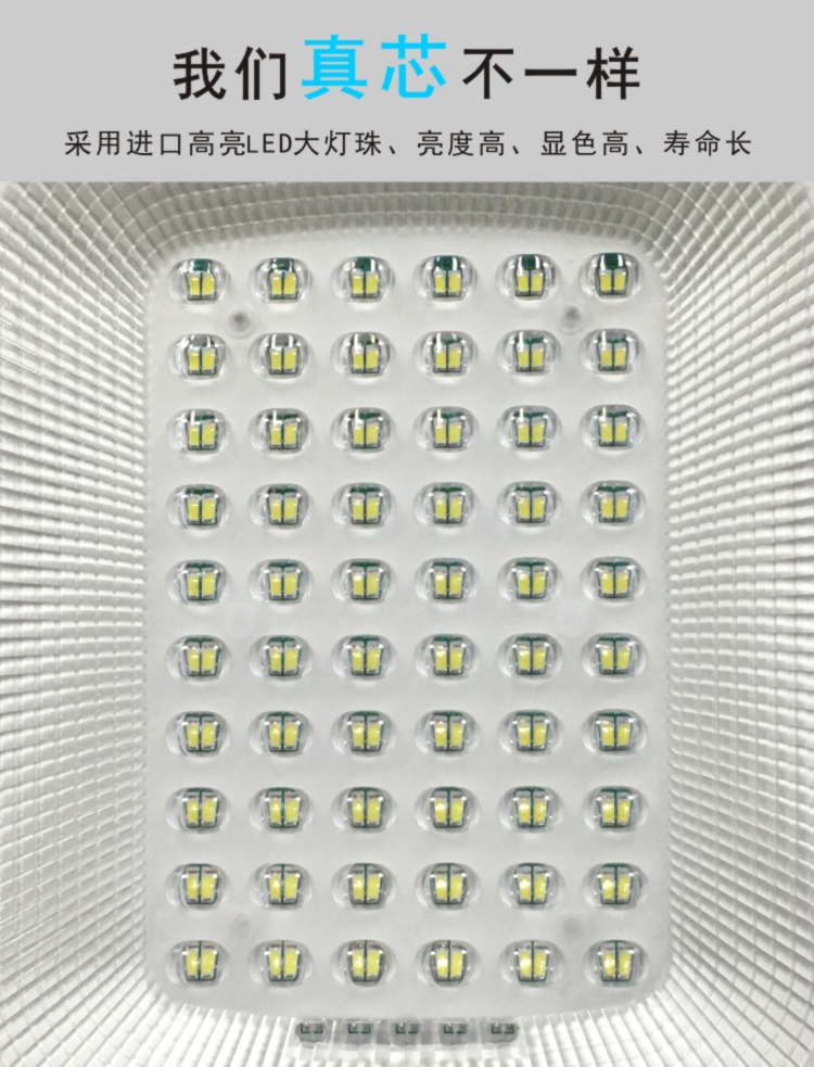 太陽(yáng)能路燈 CHTYN04