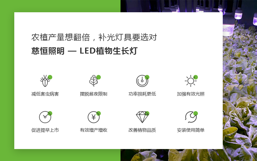 佛山市南海區(qū)慈恒照明有限公司