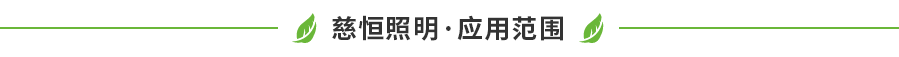 佛山市南海區(qū)慈恒照明有限公司