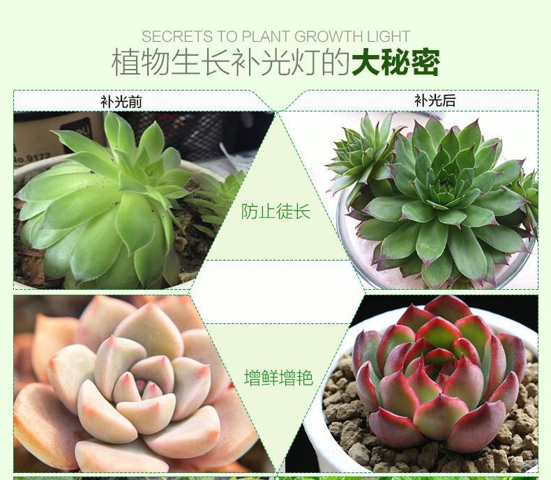 植物補光燈.jpg