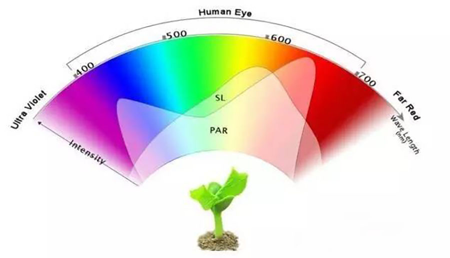 光譜 植物燈光譜.jpg
